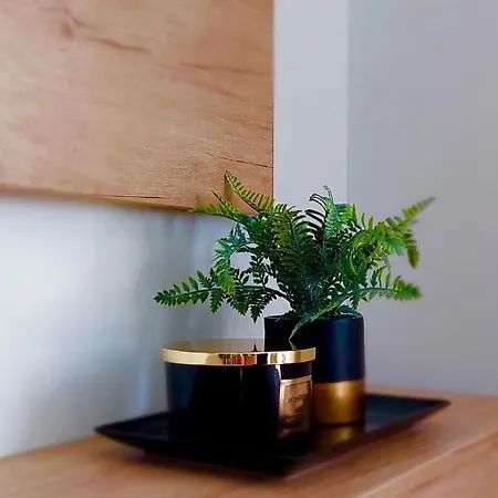 Apartmán Zlatni Bor Ii